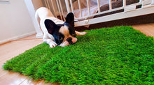 Load image into Gallery viewer, Paradiso Surface (Artificial Grass Mat for Cats and Dogs)