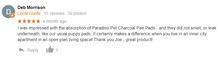 Load image into Gallery viewer, Paradiso Charcoal Pad (50 Pads)