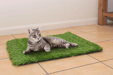 Load image into Gallery viewer, Paradiso Surface (Artificial Grass Mat for Cats and Dogs)
