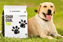 Load image into Gallery viewer, Paradiso Charcoal Pad (50 Pads)