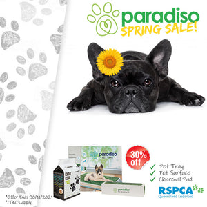 Paradiso Charcoal Pad (50 Pads)