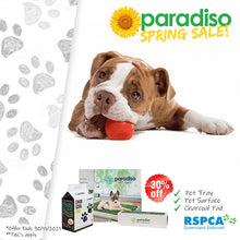 Load image into Gallery viewer, Paradiso Pet Tray (Dog indoor toliet)

