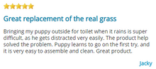 Load image into Gallery viewer, Paradiso Pet Tray (Dog indoor toliet)

